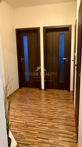 Előszoba két ajtóval, fa mintázatú padlóval és egy növénnyel.