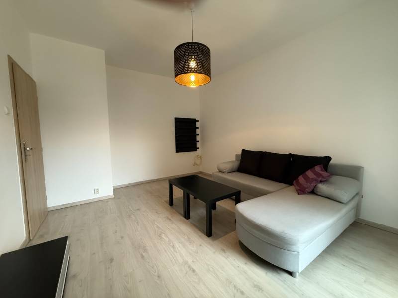 Nappali fa mintás padlóval, kinyitható kanapéval és minimalista bútorokkal egy egyszobás lakásban.