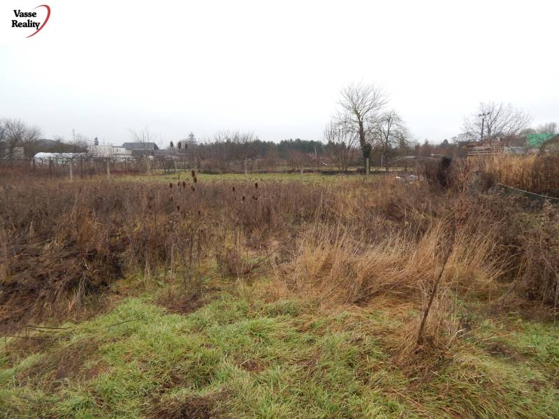 Fás és bokros füves telek Dunamocsán, ideális családi ház építésére.