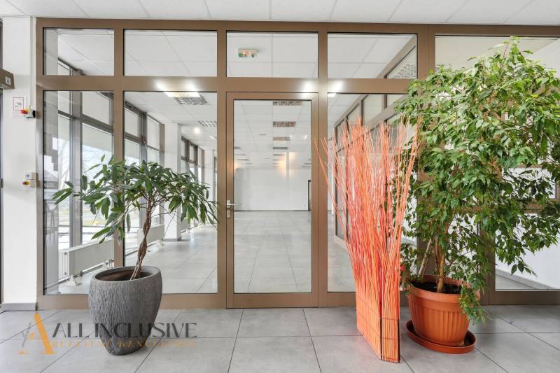 Üzlethelyiség üvegajtókkal, növényekkel és dekoratív elemekkel a padlón.