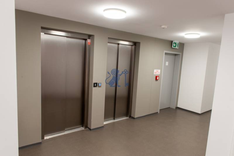 ovocne_sady_byt_na_prenajom_chodba