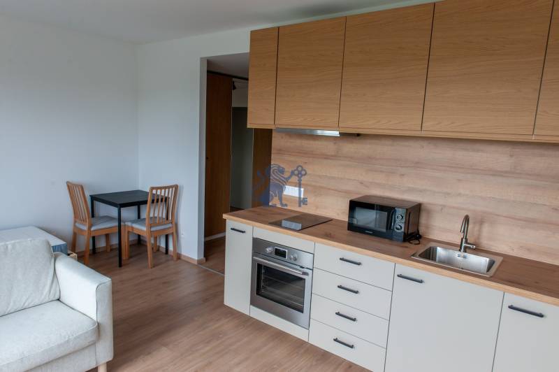 ovocne_sady_byt_na_prenajom_kuchyna