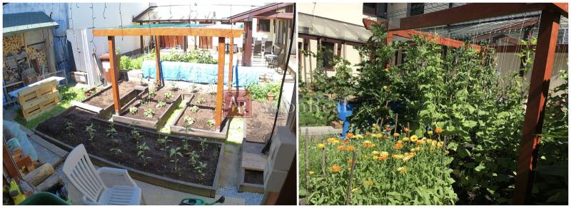 Családi ház a Laborc utcában, Iglón, gondozott kerttel és virágokkal.