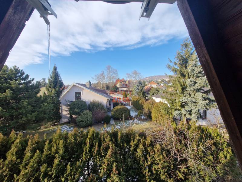 Családi ház kertje kilátással a Jelenecká utcára Nyitrán, zölddel körülvéve.