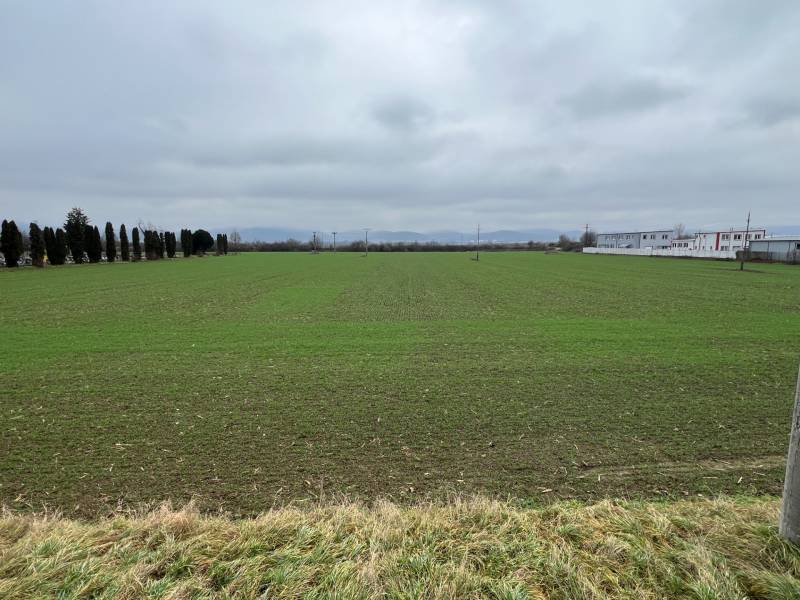 Kereskedelmi telkek Pruskéban zöld növényzettel, fasorral és ipari épületekkel a háttérben.