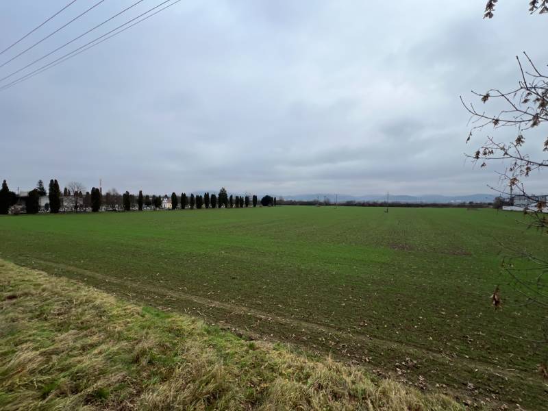 Zöld kereskedelmi telkek Pruskóban, fákkal és elektromos vezetékekkel szegélyezve.