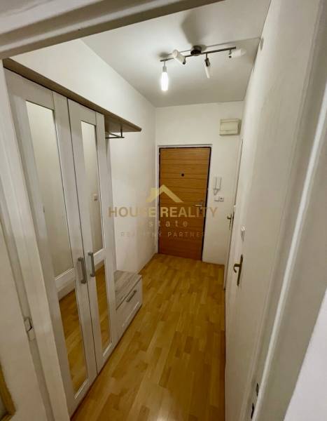 Előszoba tárolóhellyel és fa dekorációjú padlóval egy egyszobás lakásban.