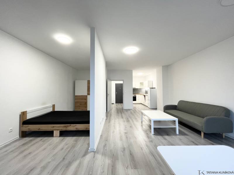 1 szobás lakás belső tere fa dekorációjú padlóval, ággyal és kanapéval.