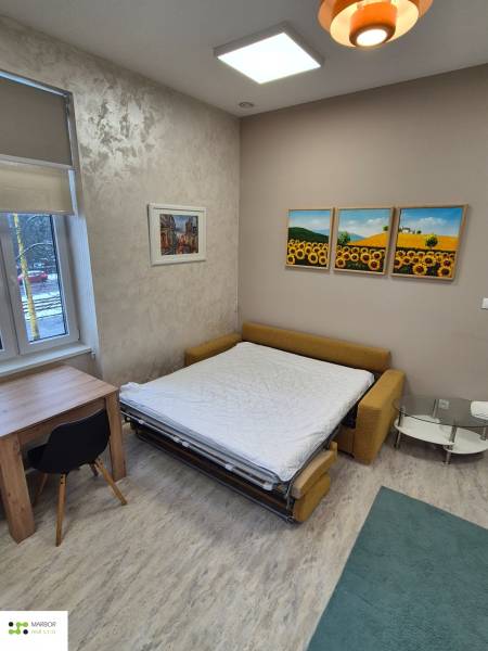 Szoba kinyitható kanapéval, asztallal és székkel, fa dekorációjú padlóval.