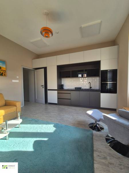 1 szobás lakás belső tere konyhabútorral, zöld szőnyeggel és fa dekorú padlóval.