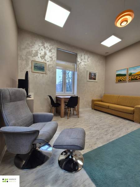 Nappali egy egyszobás lakásban, fotellel, kanapéval és asztallal, fa dekor padlóval.