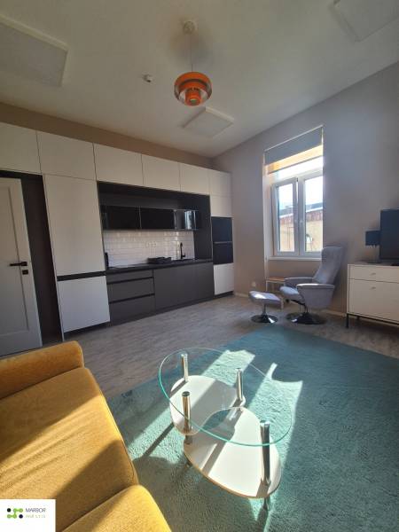 Világos nappali egy egyszobás lakásban konyhával és fa dekorációjú padlóval.