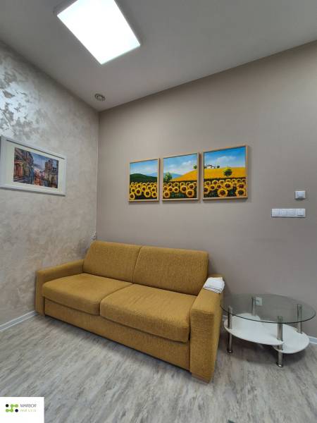 Nappali egy egyszobás lakásban, kanapéval és képekkel, fa dekorációjú padlón.