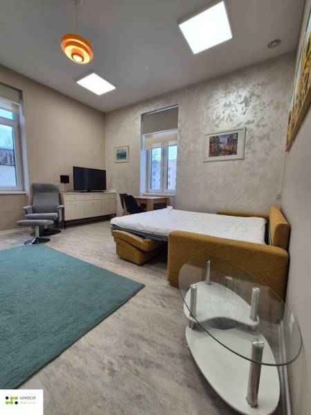 Egy szobás lakás nappali része ággyal, televízióval és fotellel, fa dekorációjú padlón.