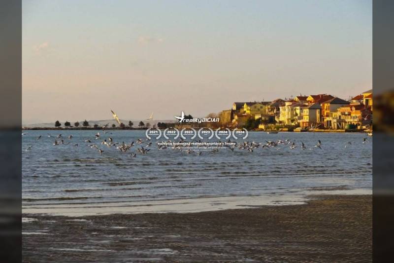 Ljubač partján több száz sirállyal és a part mentén húzódó házakkal.