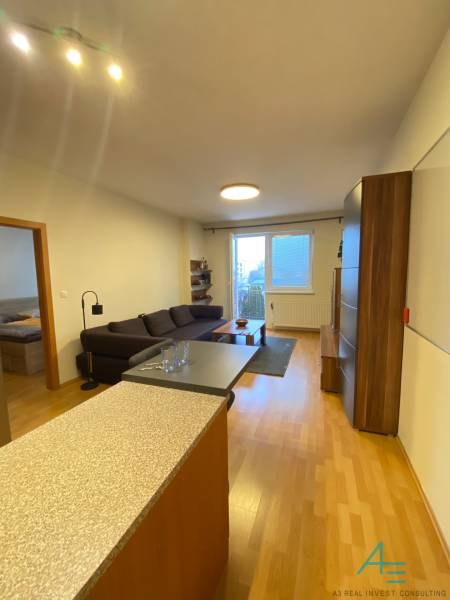 Nappali konyhával és fa dekoros padlóval egy kétszobás lakásban.