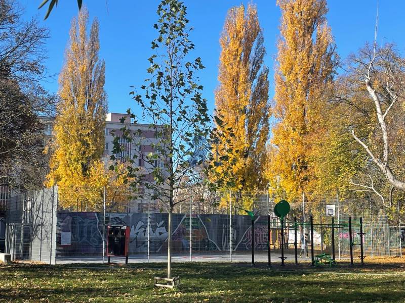 ružinov_byt_na_prenajom (14).jpg