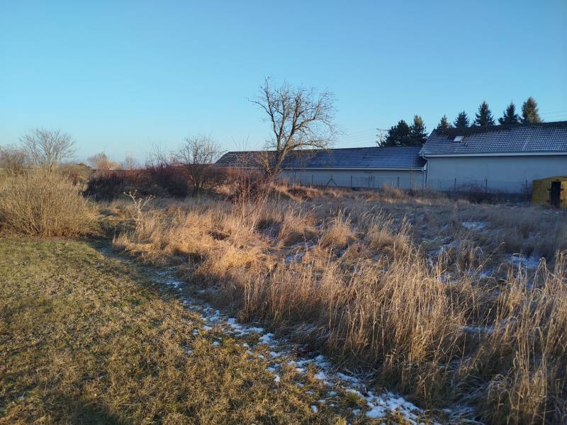 Lakóterületek a galántai Hodská utcában, gyepes növényzettel és néhány bokorral.