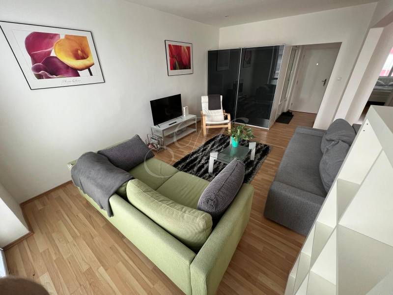 Nappali egy kétszobás lakásban kanapéval, televízióval és képekkel a falakon.