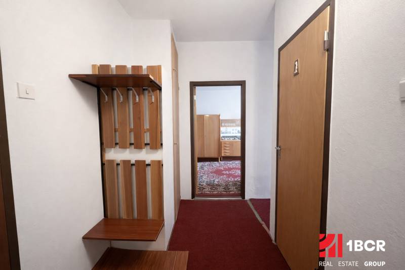 Az egyszobás lakás folyosója fogasfallal és kilátással a szőnyeges szobára.