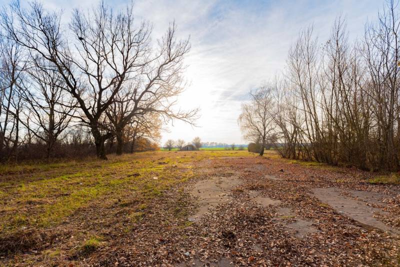 Fák tája Stupaván a kereskedelmi telkeken a Stupavská utcán.