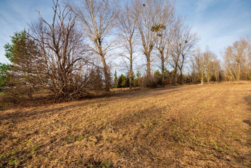 Téli táj Stupaván, a Stupava utcában, fákkal a kereskedelmi telkeken.