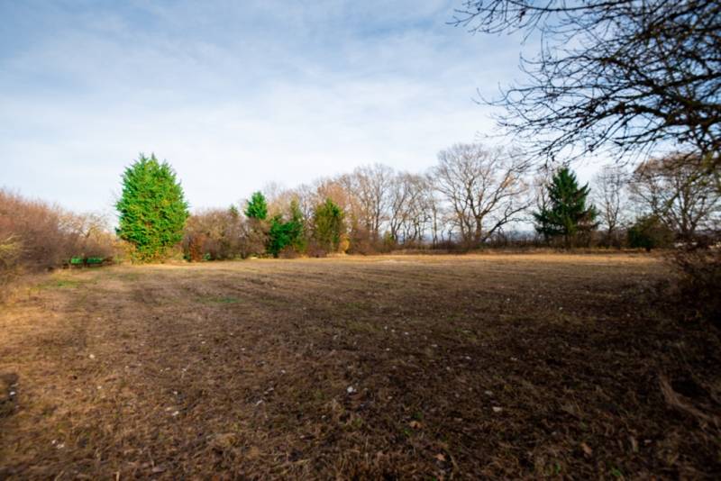 Pozemek - obchodní v Stupavě, ulice Stupava. Zasněžené stromy na rozlehlé louce.