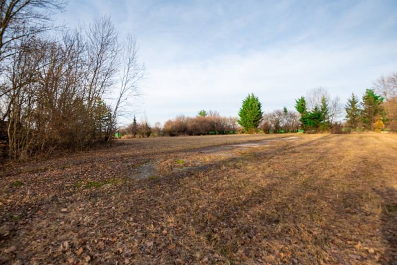 Kereskedelmi telkek Stupaván, Stupava utcában, fákkal és fűvel benőve.