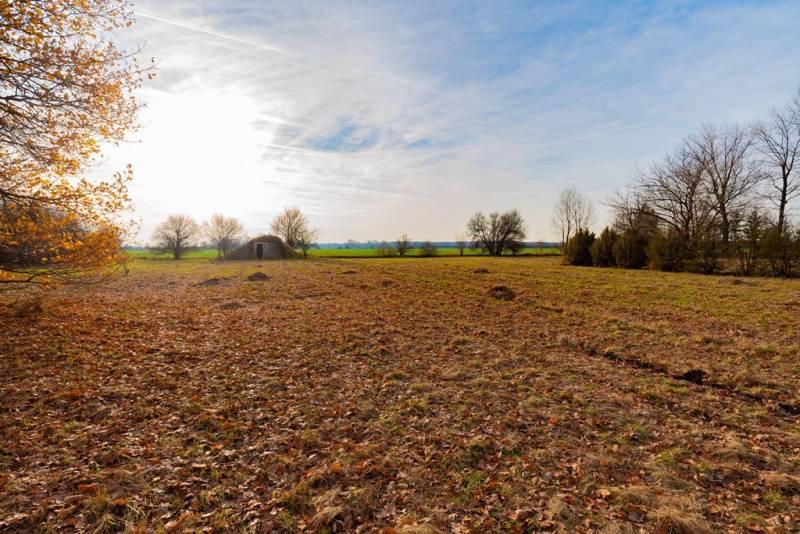 Kereskedelmi telkek Stupaván, Stupaván őszi tájjal és fákkal.