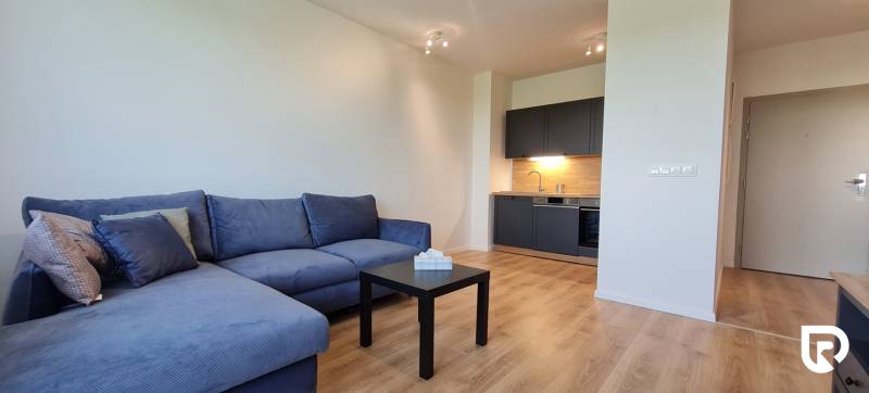 Kétszobás lakás kék kanapéval, sötét konyhával és fa mintázatú padlóval.