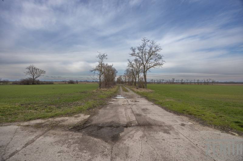 Földút fákkal körülvéve lakóövezetre szánt telkeken Jatovban, a Jatov utcában.