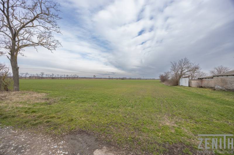 Zöld lakótelek Jatovban, a Jatov utcában, csupasz fákkal.