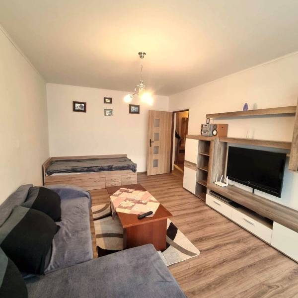 Nappali fa dekor padlóval egy kétszobás lakásban, kanapé és televízió.