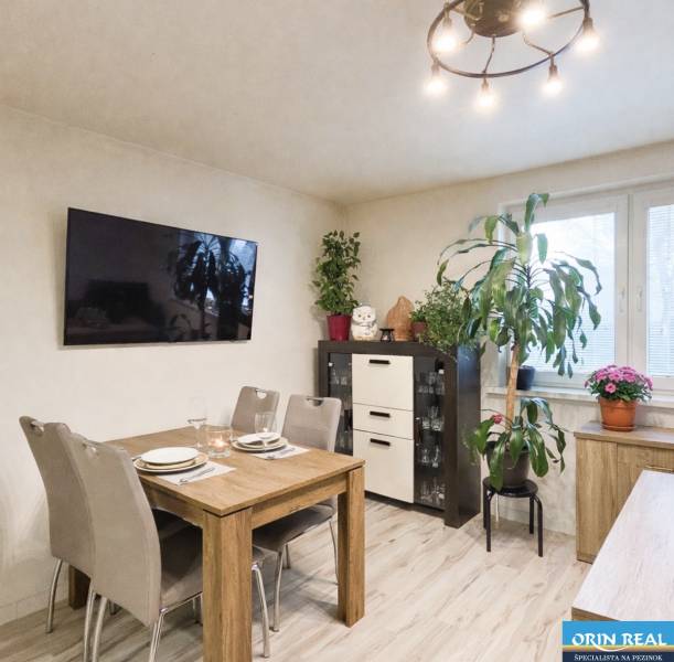 Ebédlő egy családi házban, televízióval, étkezőasztallal és szobanövényekkel.