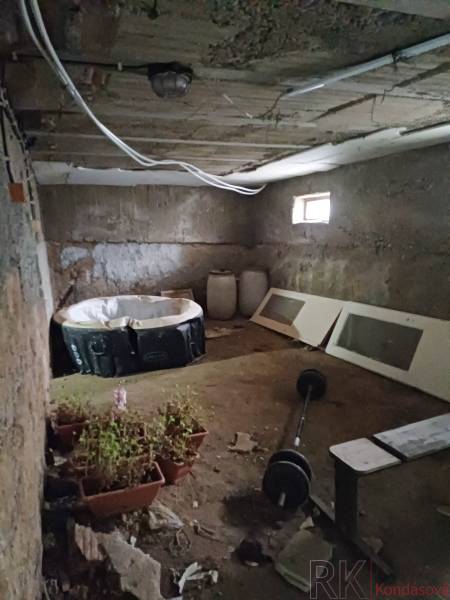 A családi ház pincéjében cserepes növények, pezsgőfürdő, bárok és építőanyag található.