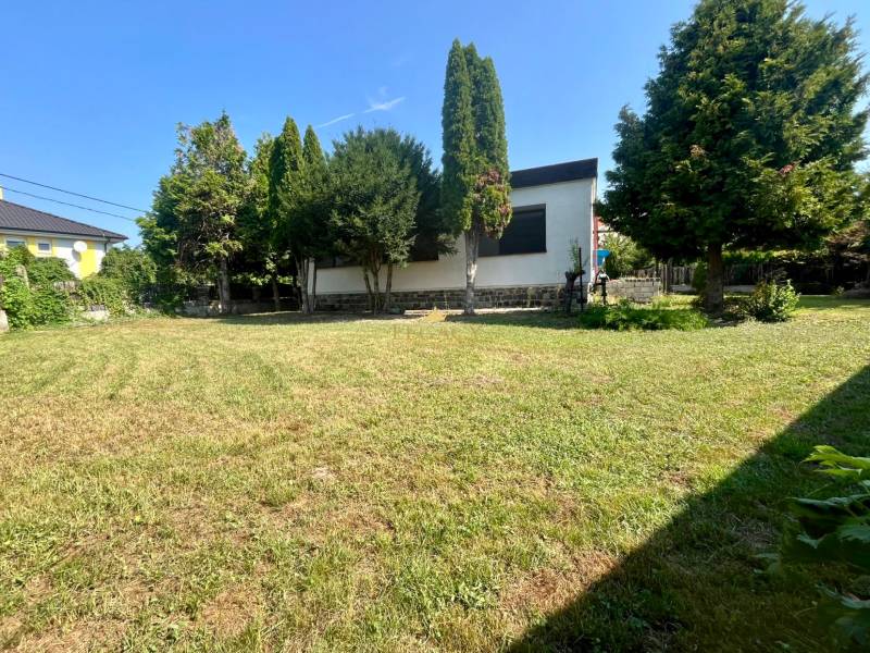 Családi ház Ivánkán a Dunánál, fenyőfákkal körülvett kerttel.