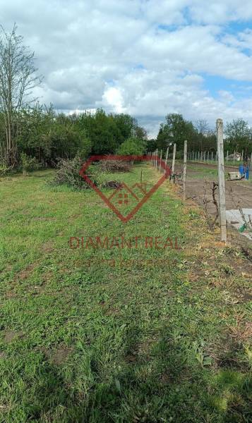 Családi ház melletti telek a Felsőszeliben, a Salibská utcában, füves területtel és kerttel.