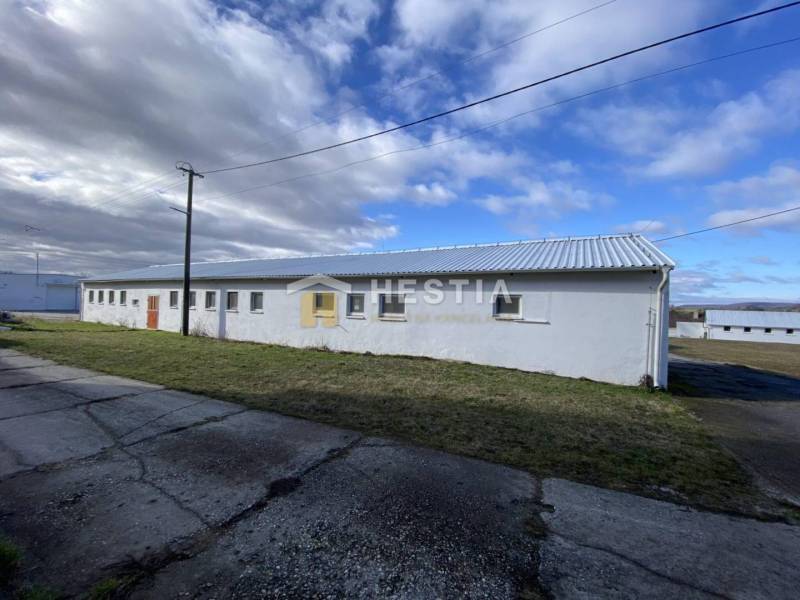 Fehér raktárépület és csarnok Rybkyben, körülvéve fűvel és betonjárdával.