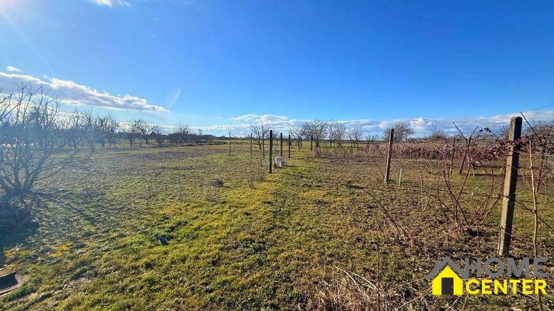 Családi ház melletti telek Ižben gyümölcsfákkal és szőlővel napos napon.