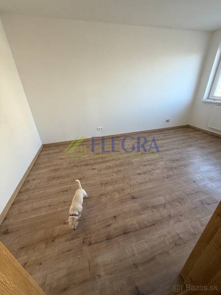 Szoba egy kétszobás lakásban fa dekor padlóval és egy kis kutyával.