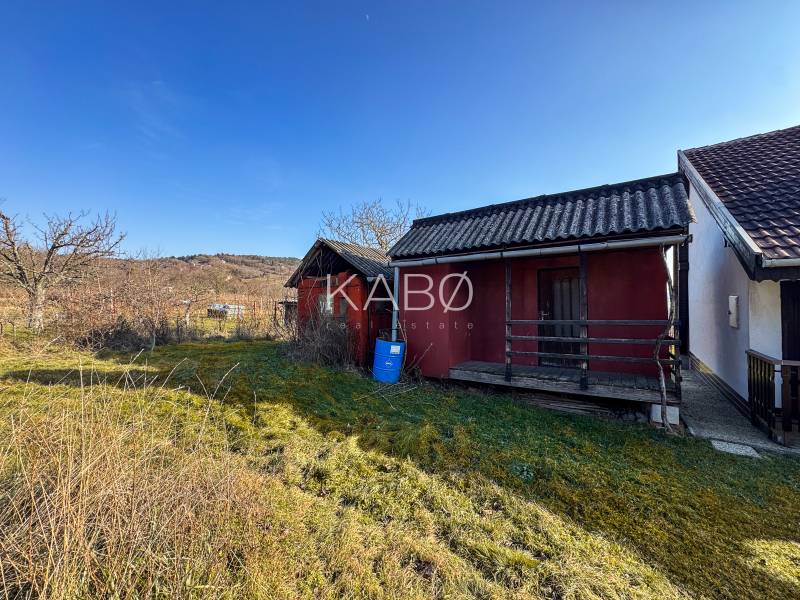 A Nyitrai Ambrovej utcában szerény faházak láthatók a szőlők között.