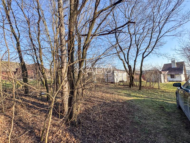 Kert csupasz fákkal és házakkal az Ambrovej utcában, a szőlőskertekben, Nyitrán.