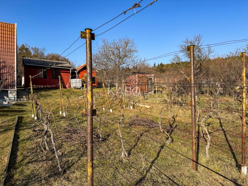 Szőlőskertek a Nyitrai Ambrovej utcában kis házakkal és vezetéssel.
