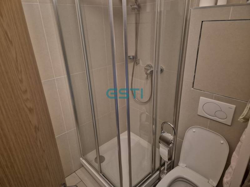 Zuhanykabin és WC az egyszobás lakás fürdőszobájában.