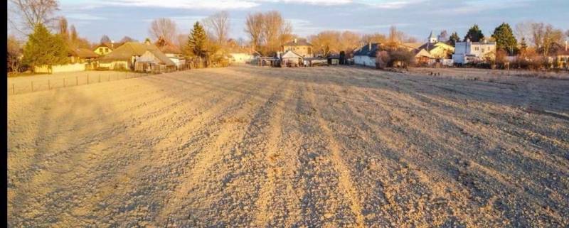 WhatsApp Image 2026-02-09 at 11.39.53.jpeg