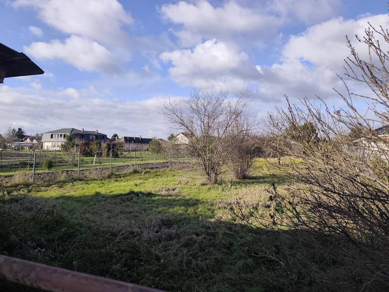 WhatsApp Image 2026-02-09 at 11.06.13 (5).jpeg