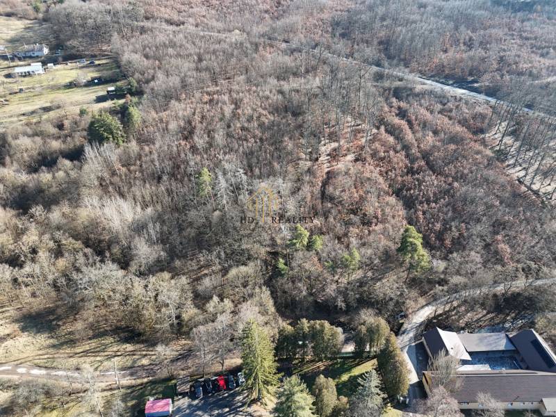 Fás vidék Krupinában, alkalmas telkekre - lakhatásra.