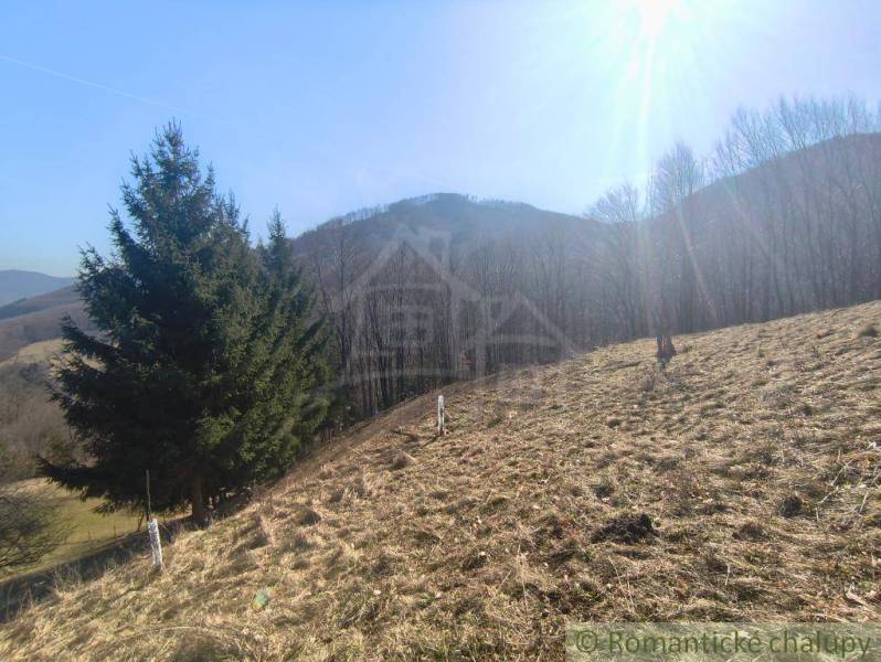 Naposledy som bol aktualizovaný v októbri 2023 a nemám prístup k internetu. Tu je preklad:

