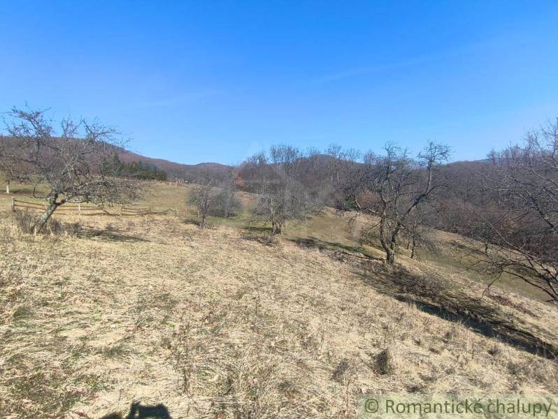 Kopasz kertek Újbánya környékén, csupasz fákkal és kék éggel.