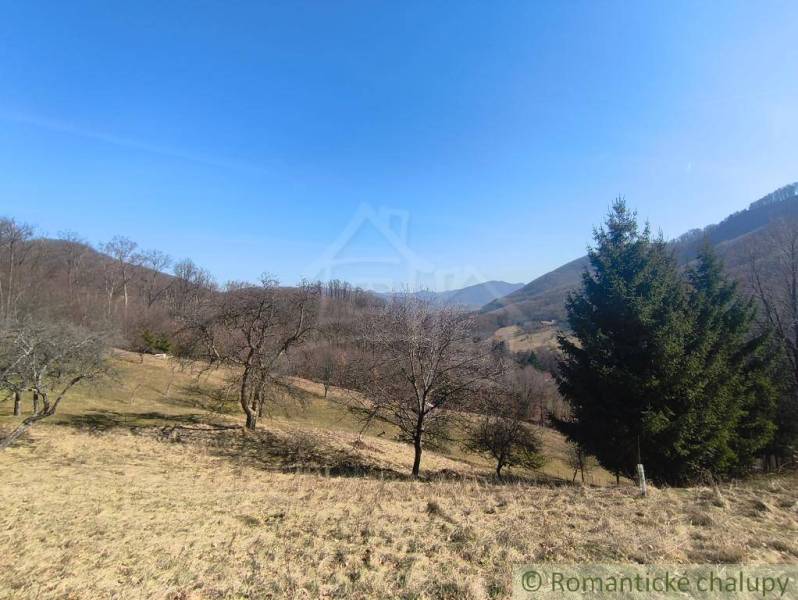 Természetes táj Nová Baňa környékén fákkal és dombokkal a Záhradyn.